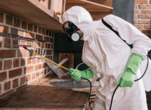 أفضل شركة مكافحة حشرات في القاهرة | خبرة – أمان – نتيجة مضمونة