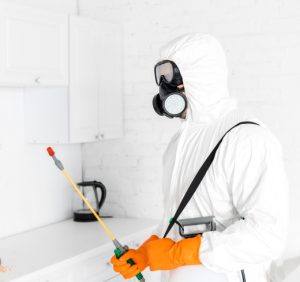 مكافحة الحشرات في المنازل | الشركة الألمانية للتخلص النهائي من الحشرات