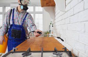 شركة رش حشرات