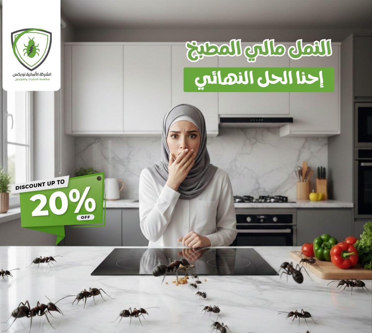 شركة مكافحة النمل في المطبخ والتخلص من النمل نهائيًا