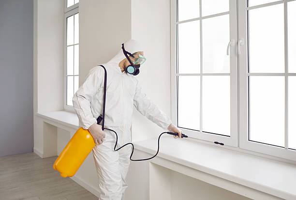 شركة مكافحة حشرات في حلمية الزيتون – رش وإبادة الحشرات