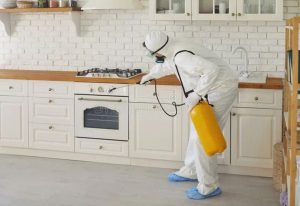 شركة مكافحة حشرات في عين شمس رش مبيدات داخل منزل للقضاء على الصراصير وبق الفراش