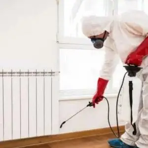 شركة مكافحة حشرات في مدينتي للقضاء على الصراصير والفئران وبق الفراش والنمل الأبيض