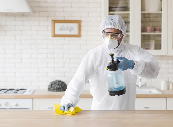 شركة مكافحة حشرات في المنيا الجديدة رش صراصير ونمل وبق الفراش