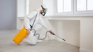 شركة مكافحة حشرات في الزمالك لإبادة الصراصير والفئران وبق الفراش والنمل باستخدام مبيدات آمنة مع ضمان القضاء النهائي