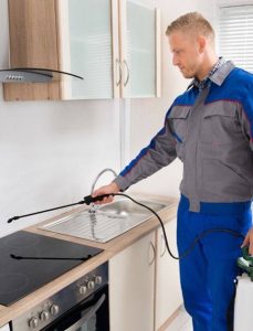 شركة مكافحة حشرات في سراي القبة تقدم رش الصراصير وبق الفراش والنمل الأبيض باستخدام مبيدات آمنة ومعتمدة مع ضمان وخدمة فورية