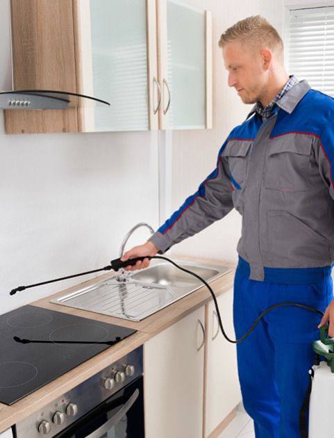 شركة مكافحة حشرات في سراي القبة تقدم رش الصراصير وبق الفراش والنمل الأبيض باستخدام مبيدات آمنة ومعتمدة مع ضمان وخدمة فورية