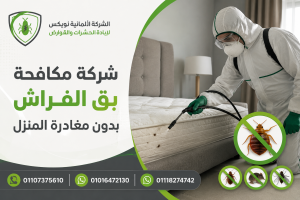شركة مكافحة بق الفراش بدون مغادرة المنزل