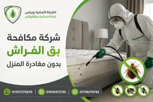 شركة مكافحة بق الفراش بدون مغادرة المنزل