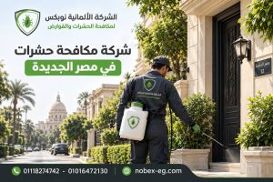 فني متخصص من شركة مكافحة حشرات في مصر الجديدة أثناء تنفيذ عملية الرش