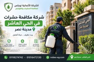 شركة مكافحة حشرات في الحي العاشر مدينة نصر