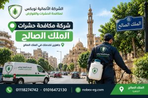فني مكافحة حشرات في منطقة الملك الصالح بالقاهرة