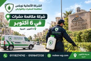 فني مكافحة حشرات في مدينة 6 أكتوبر بالجيزة