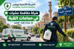 فني مكافحة حشرات في منطقة حمامات القبة بالقاهرة