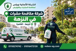 فني مكافحة حشرات في حي النزهة بالقاهرة