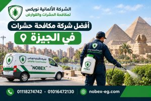أفضل شركة مكافحة حشرات في الجيزة