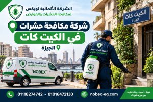 شركة مكافحة حشرات في الكيت كات