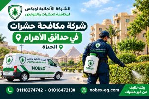 شركة مكافحة حشرات في حدائق الأهرام