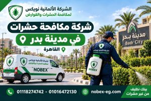 شركة مكافحة حشرات في مدينة بدر