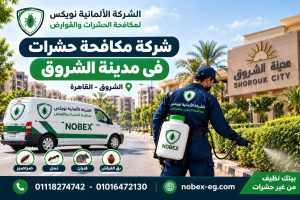 شركة مكافحة حشرات في مدينة الشروق