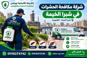 شركة مكافحة حشرات في شبرا الخيمة – الشركة الألمانية الشركه الالمانيه نوبكس لمكافحة الحشرات والقوارض